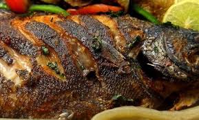 Grilled Tilapia